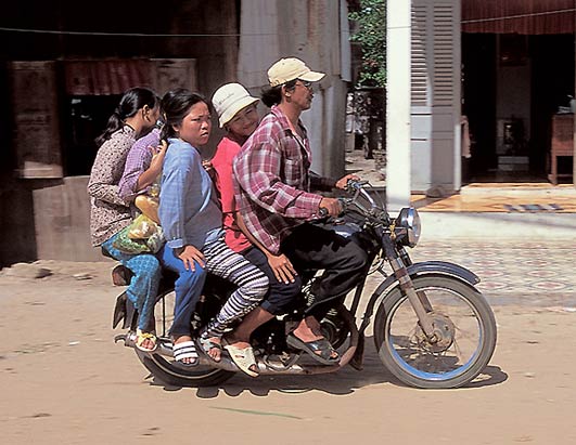 Transportes Estupidos 15